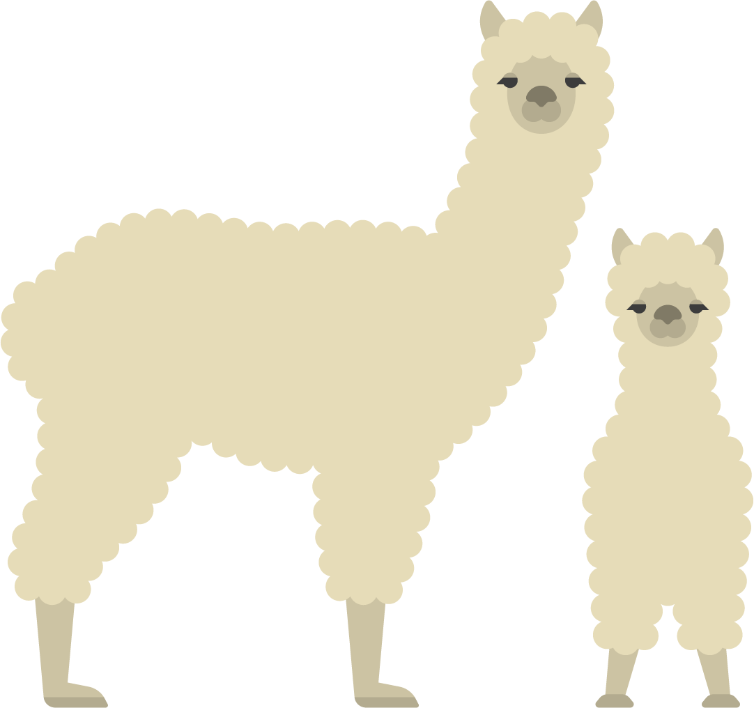 ペルー アルパカ 0g 無農薬 天然堆肥栽培 自家焙煎 珈琲豆 軽い苦味 ほのかな甘み クセが少ない 朝食にお勧め 小屋珈琲 Koya Coffee