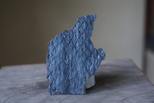 鱗木化石 Leopidodendoron aculeatum