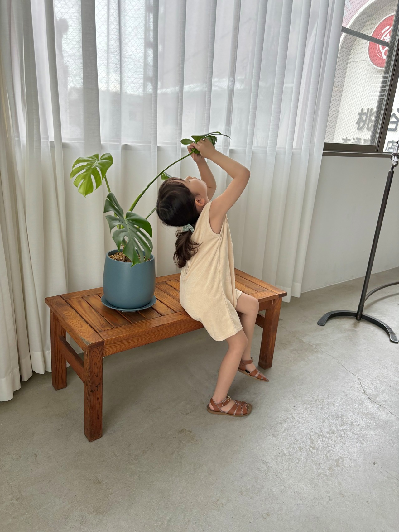 Darcey pile suit〈 j made 〉