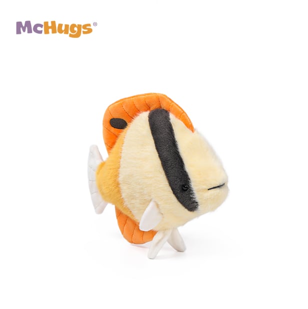 Honey Butterflyfish_MC400429