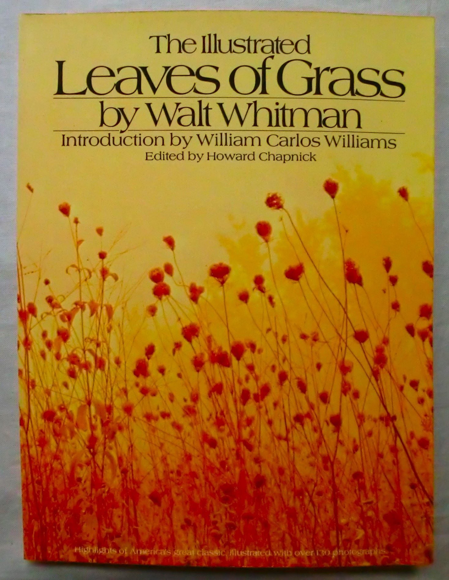 ウォルト・ホイットマン 草の葉 写真詩集 The Illustrated Leaves of