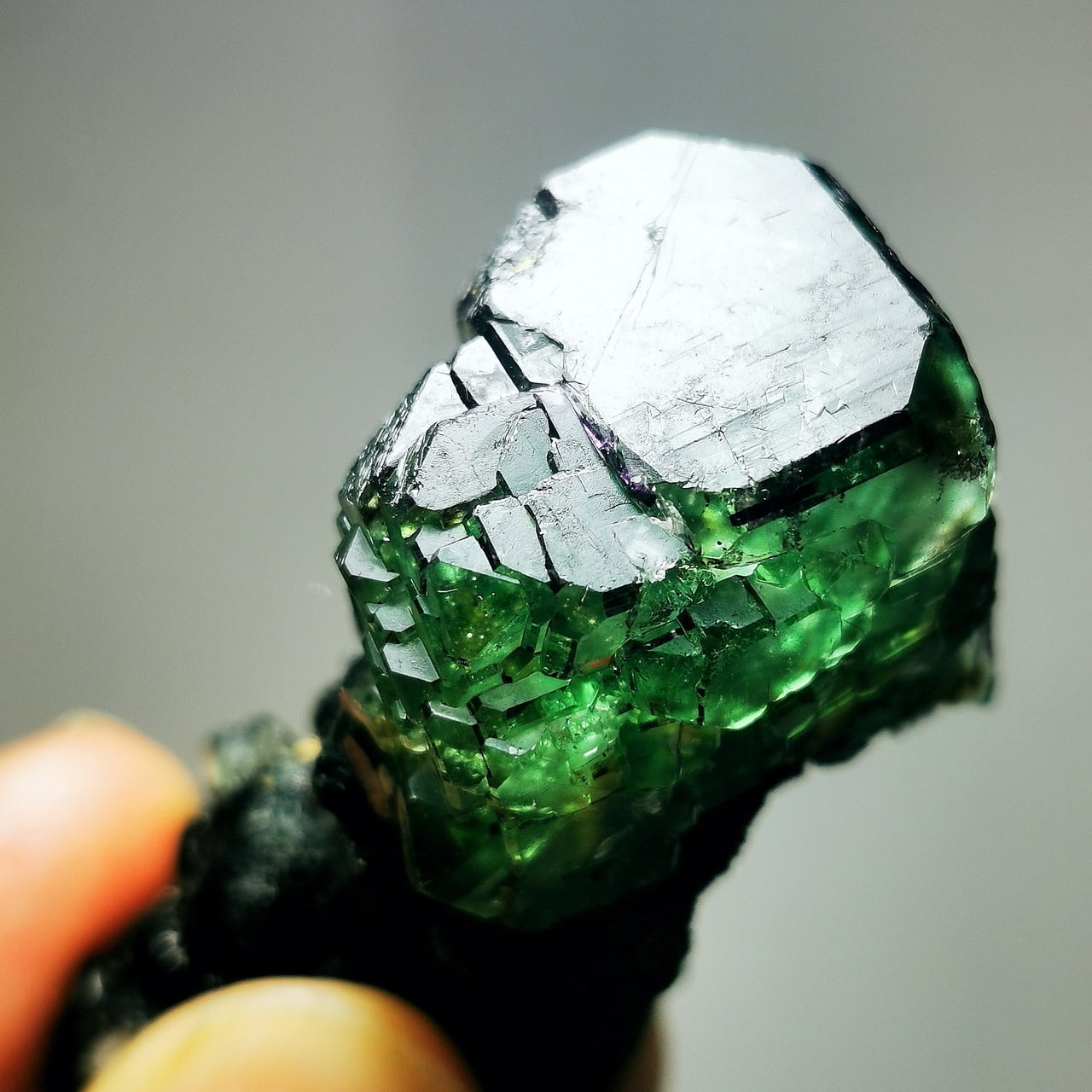 Green fluorite with schorl (black tourmaline) -グリーンフロー