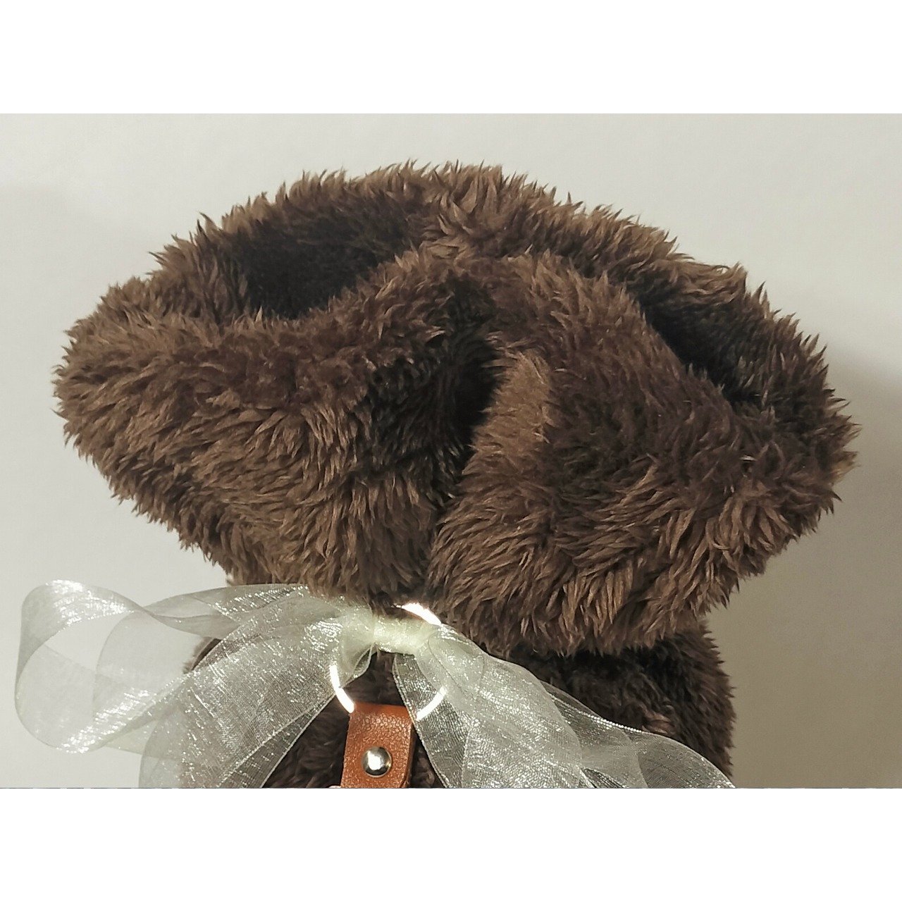 19.もふもふC【4寸】