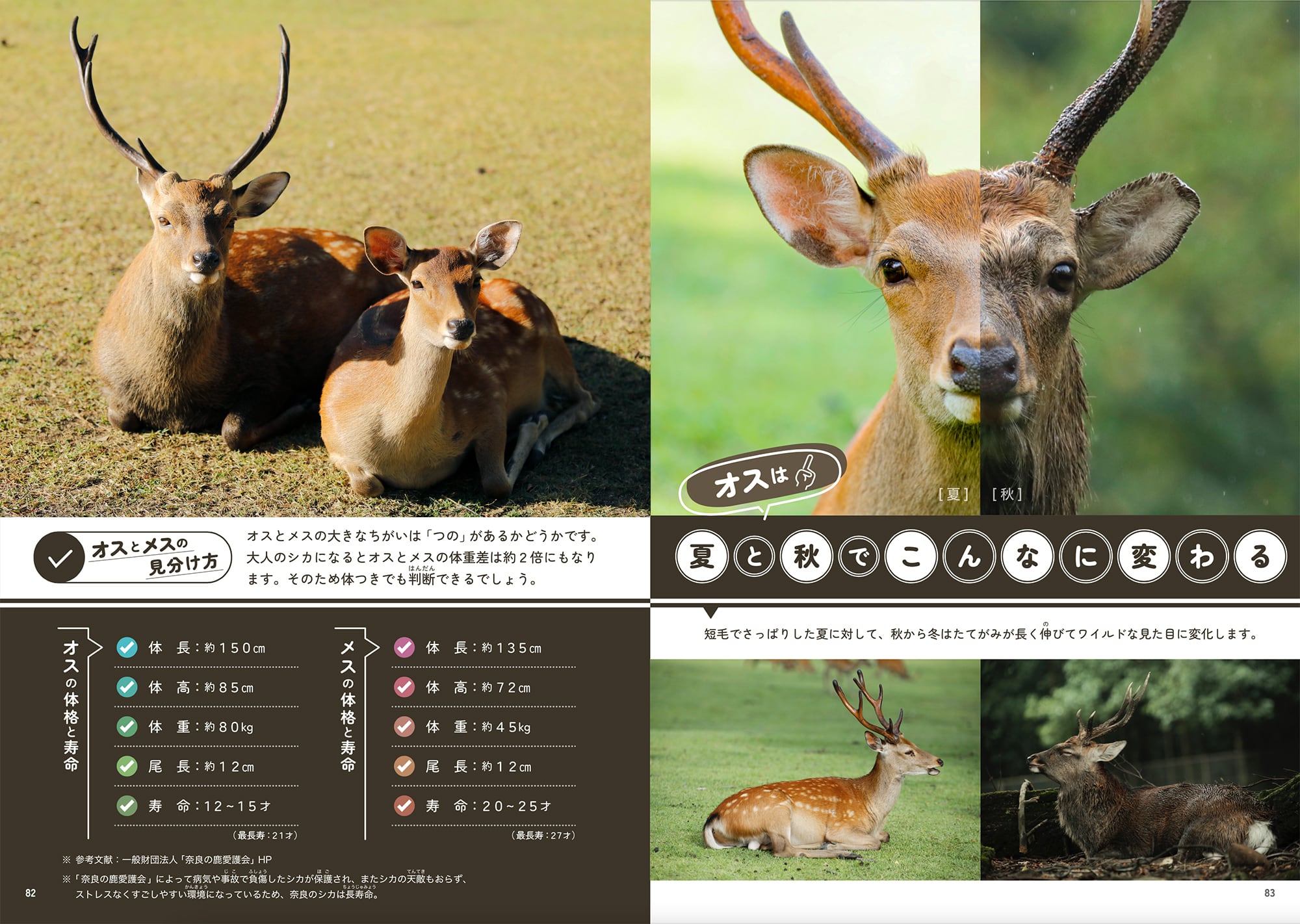 【種名　日本鹿の角】オリジナル使用⭐️幸せの青い薔薇に囲まれて⭐️☆匿名☆ 689e4c4758d062b70f13ca942466ab