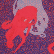 【受注商品】RumiRockセオαゆかた「タコタコ唐草」赤タコ　[A1701]
