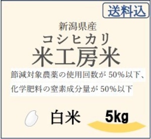 【送料込】令和5年産　新潟県産コシヒカリ・米工房米（こめこうぼうまい）【白米】【5kg】