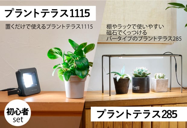 植物育成ライト 初心者セット（スターターキット） プラントテラス1115