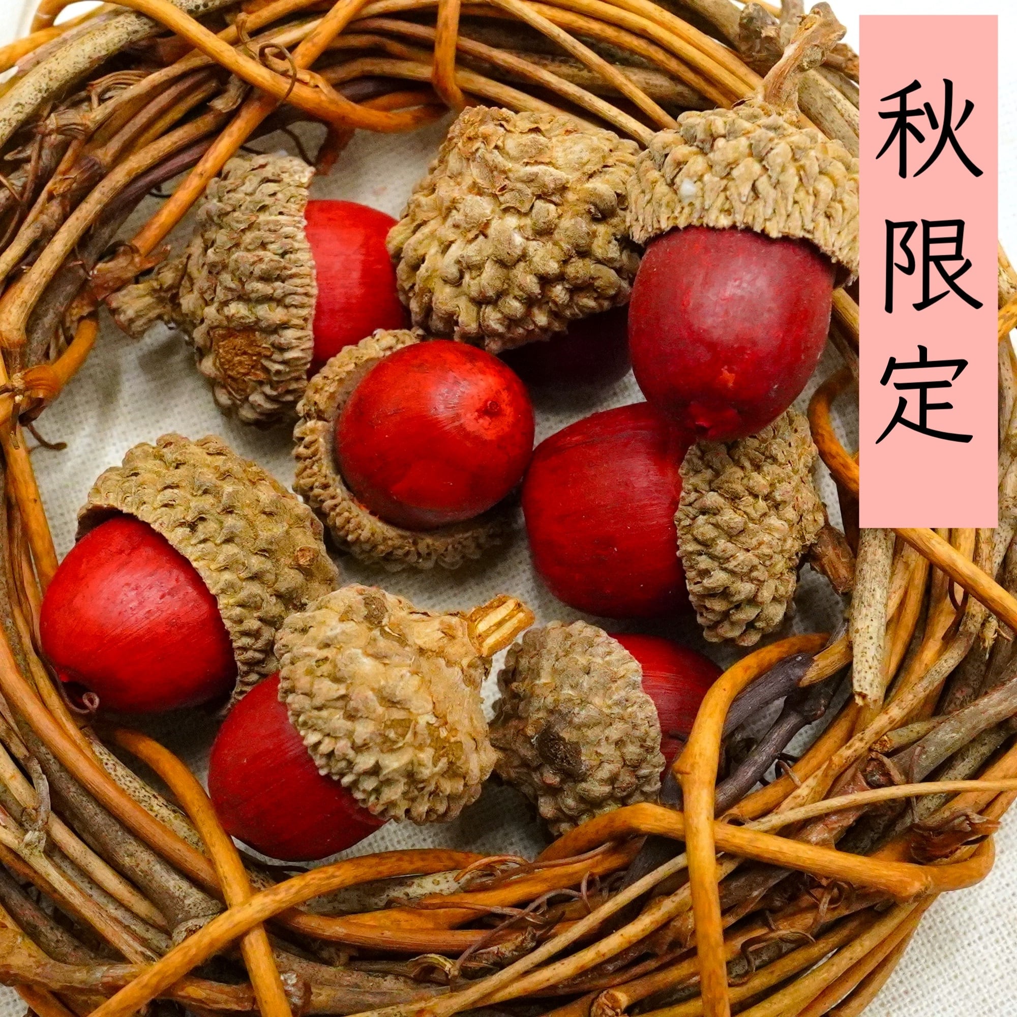 すべての商品 | E-TANIKU
