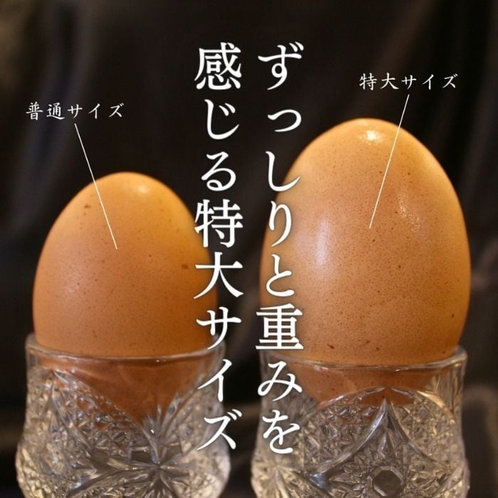 数量限定販売 【6個】最高級の卵「紀の夢たまご 極み」（特大サイズ