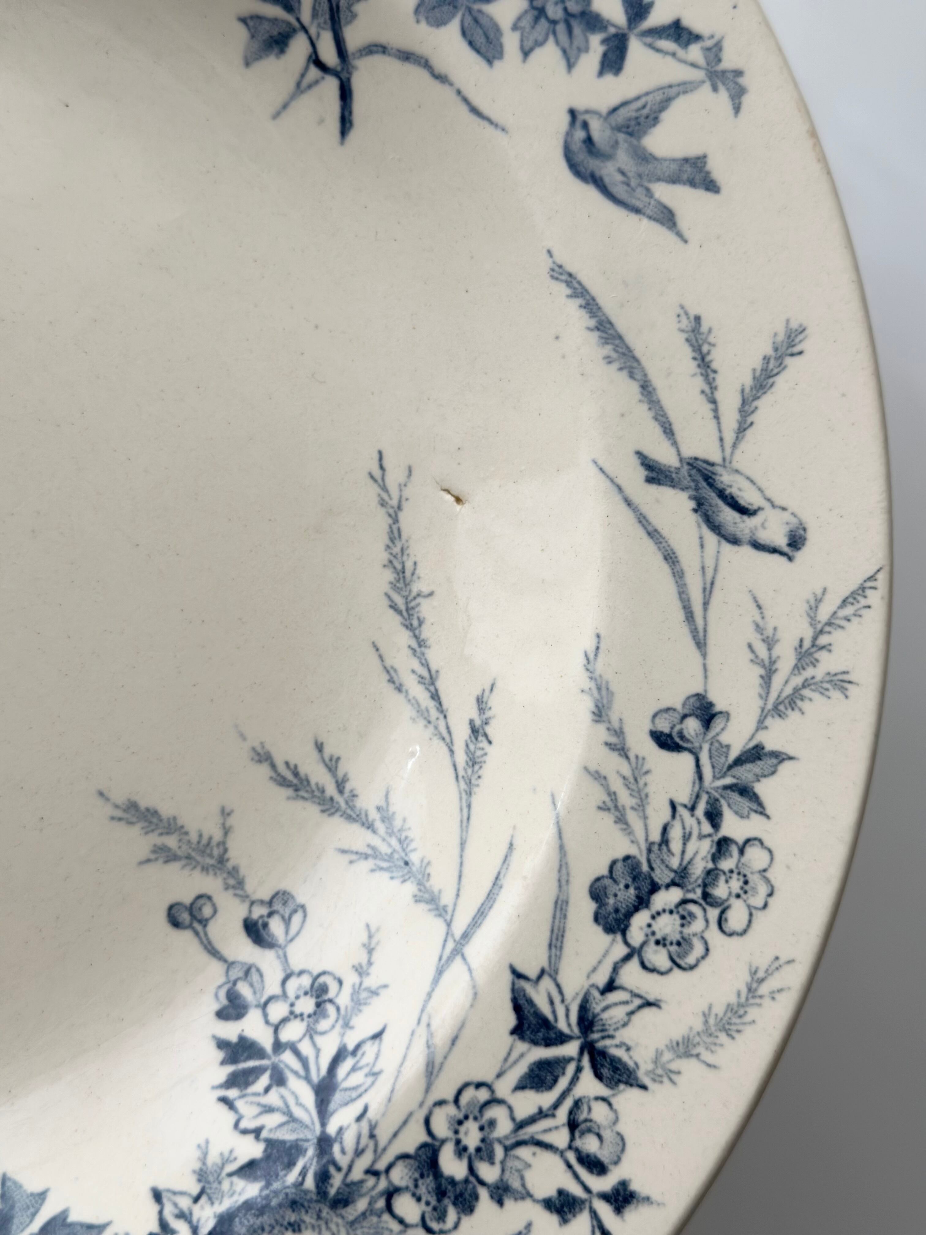 Creil et Montereau クレイユモントロー / “LINOTTE” blue 深皿