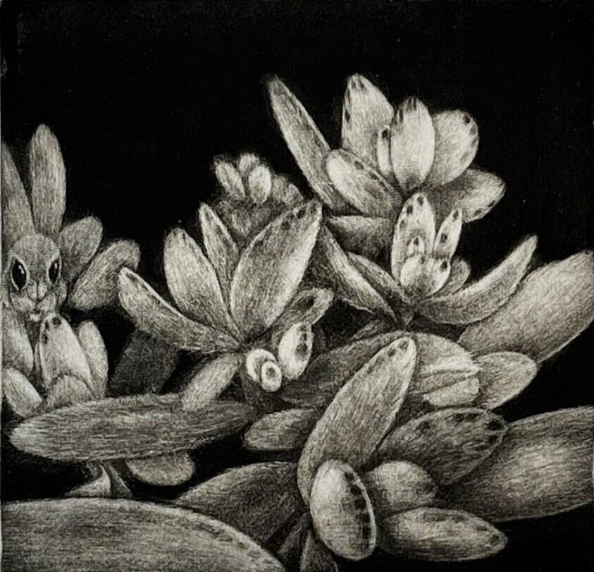 烏丸京作品 / 銅版画「月兎耳」/ シートのみ | VIVANT ART COLLECTION