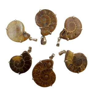 アンモナイト ペンダントトップ Ⓜ  NSBN-010M