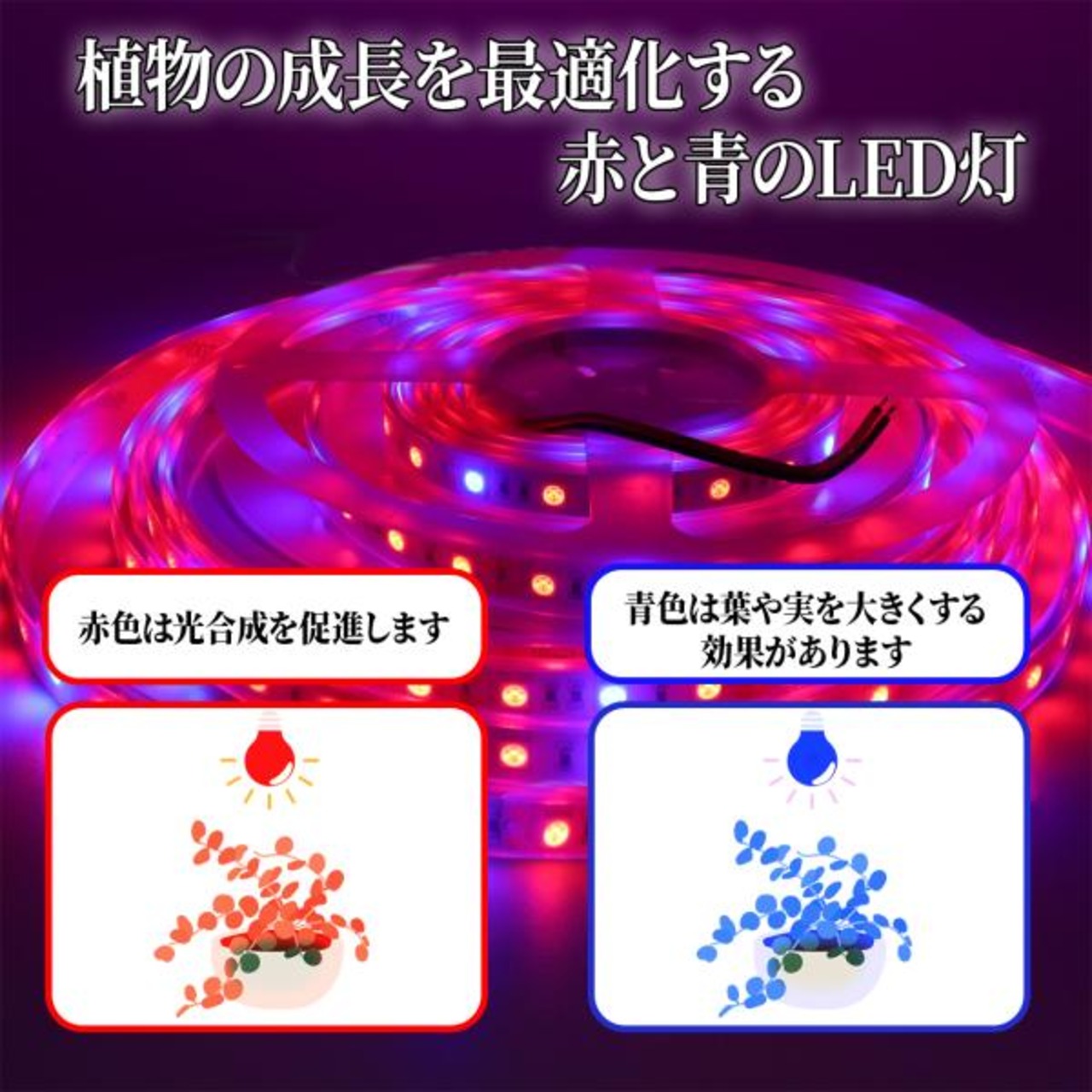 5M300LED 植物育成LEDライト 植物育成テープライト 植物育成ライト