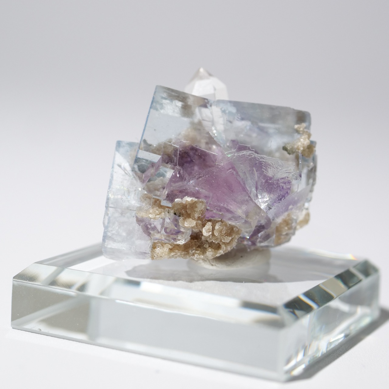 ヤオガンシャン産 フローライト 共生 / 原石 標本