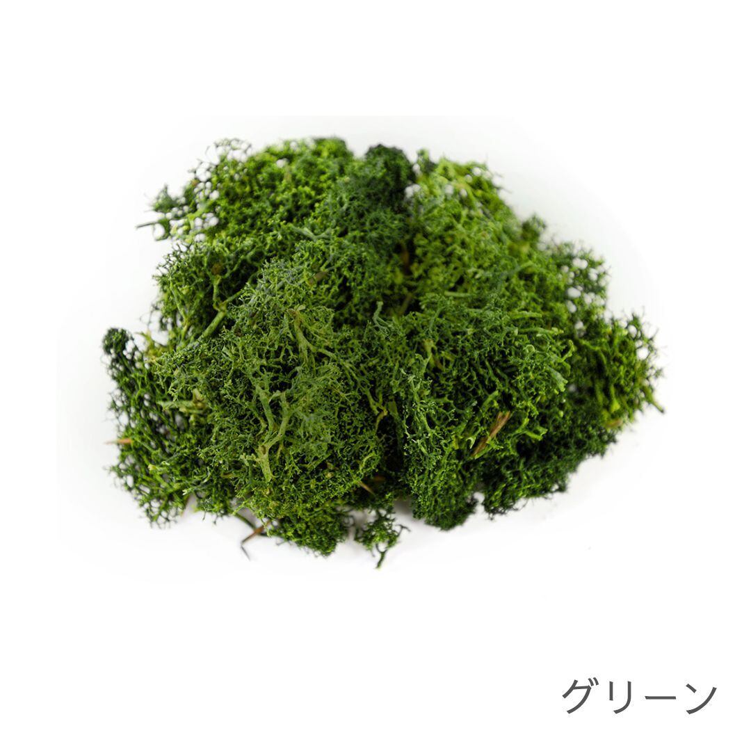 ノルディックモス Nordic Moss-ノルディックモス- | 新興プラスチックス株式会社