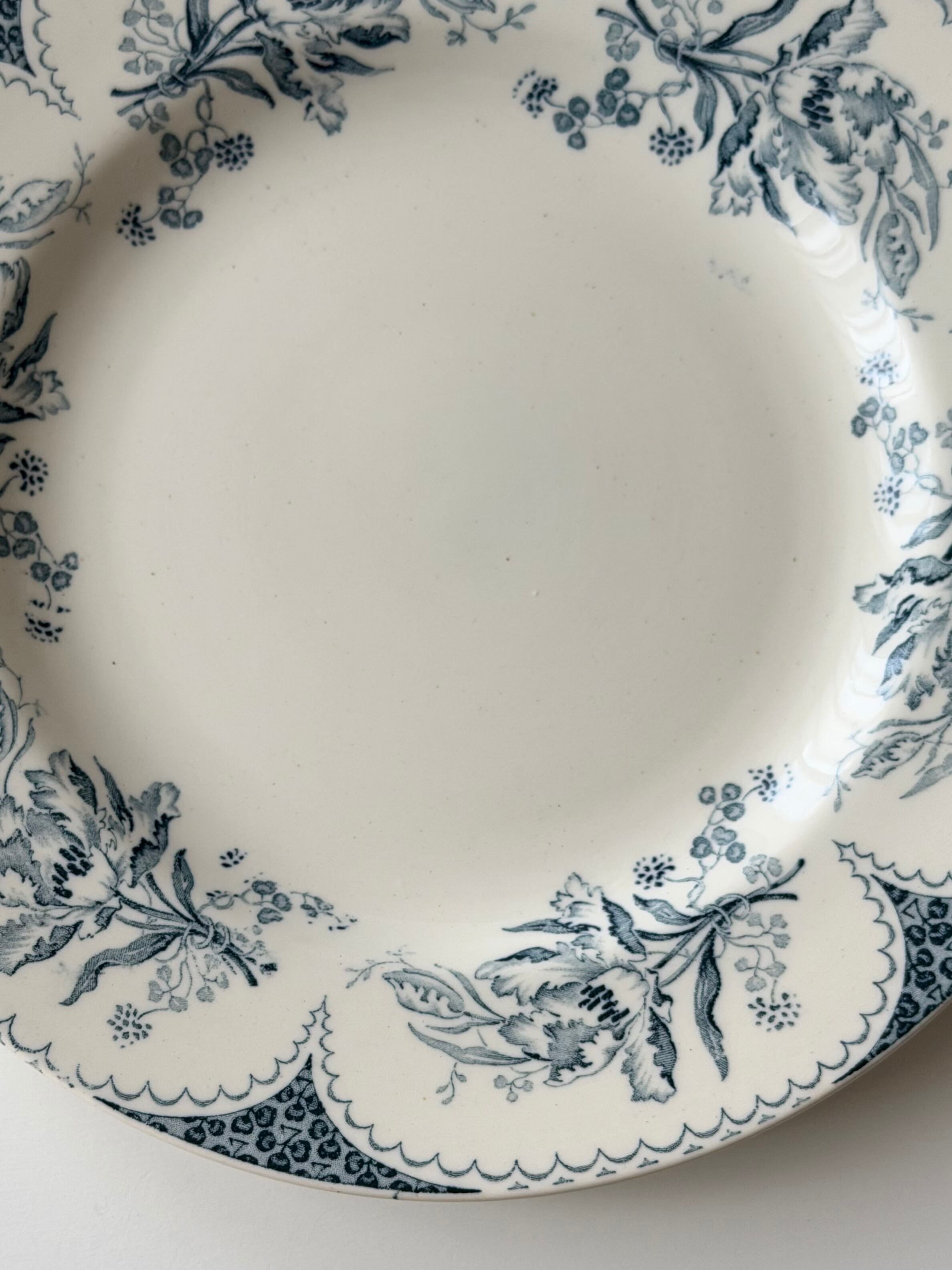 Luneville リュネヴィル / “LILLE” チューリップの可愛らしい平皿