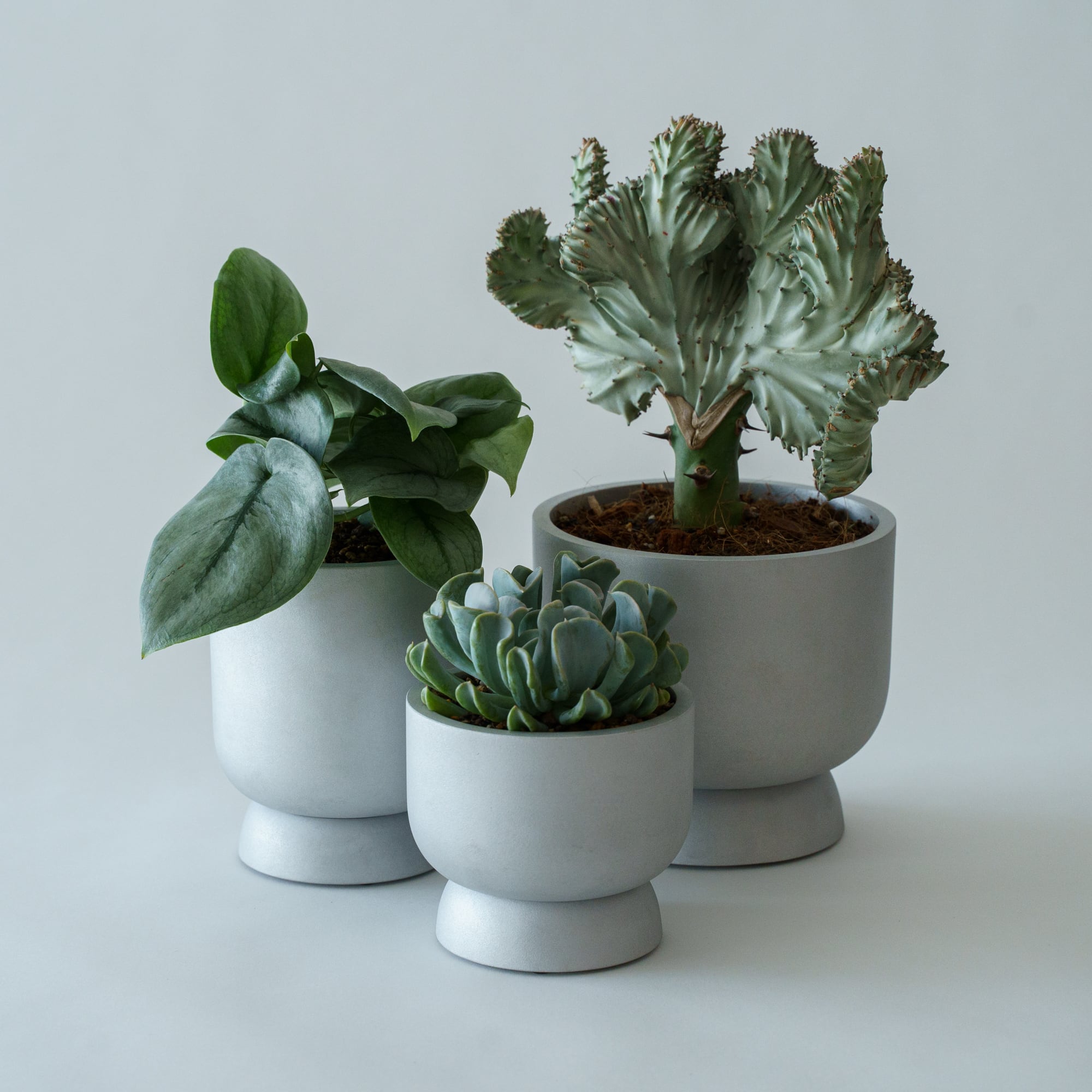 Koodinestudio 植木鉢 kokeshi planter s | HONOR