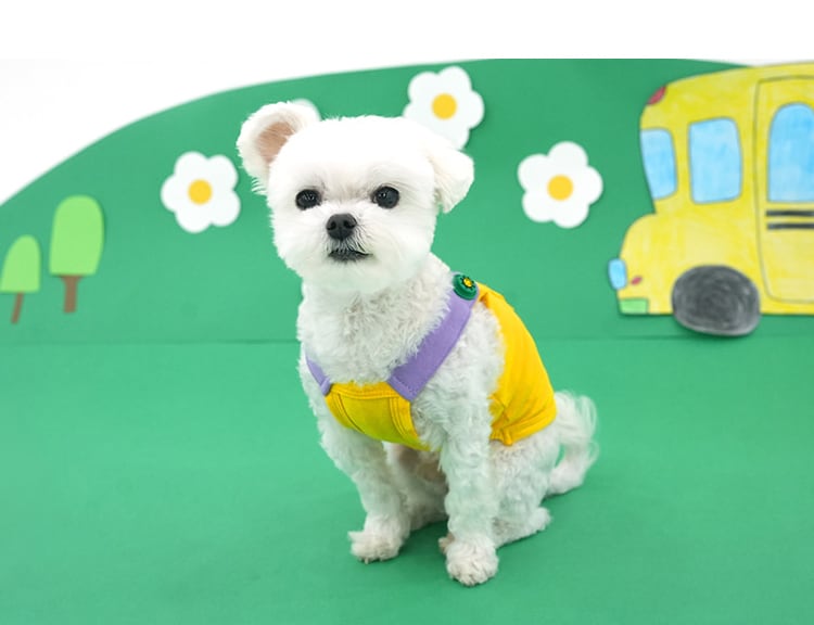 color shoulder t-shirt S ~ XL 2color / 犬服 春夏 新作 Tシャツ ドッグウェア 袖なし 可愛い 犬の服 お揃い オーバーオール トップス　top151