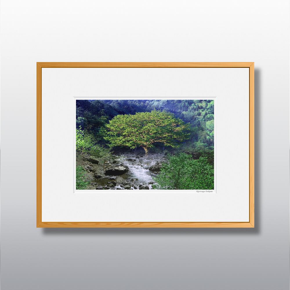 森の扉 #02 ■額縁サイズ(太子)378㎜×288㎜