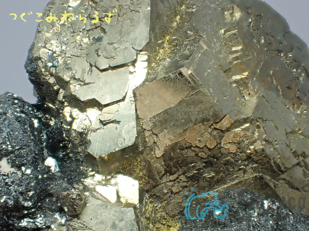 パイライト 黄鉄鉱 Pyrite イタリア TM-0042