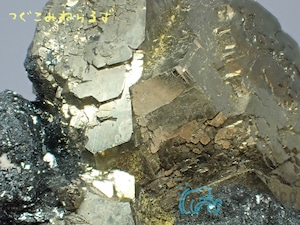 パイライト 黄鉄鉱 Pyrite イタリア TM-0042