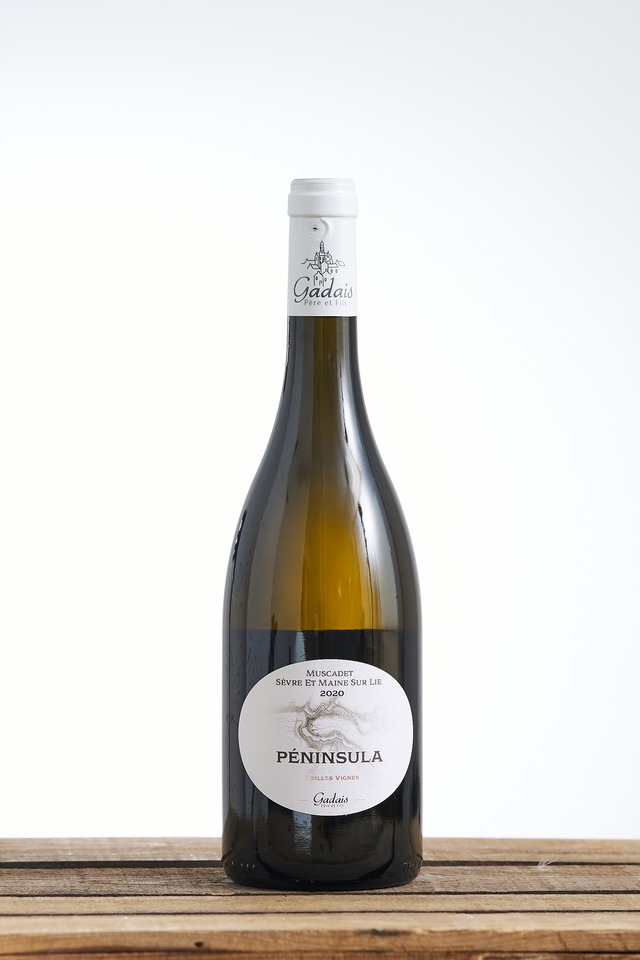 Péninsula VV 2020