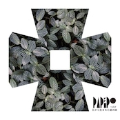 石から生まれた紙の鉢「ぺぱぽ」【5枚セット】