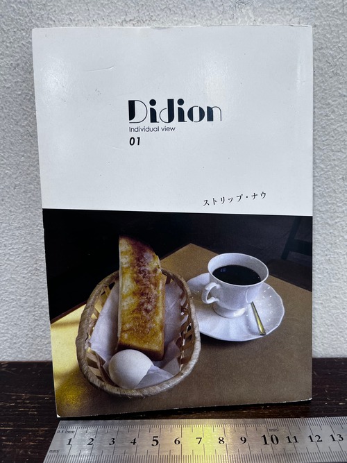 Didion   individual view 01  ストリップ・ナウ