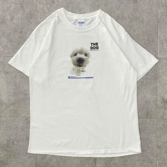 レア　マルチーズ　90s 00s イヌ　犬　tシャツ ドッグ　半袖　L ホワイト