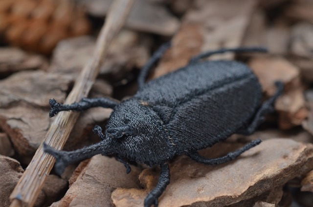 カブトムシ　 ネクタイピン