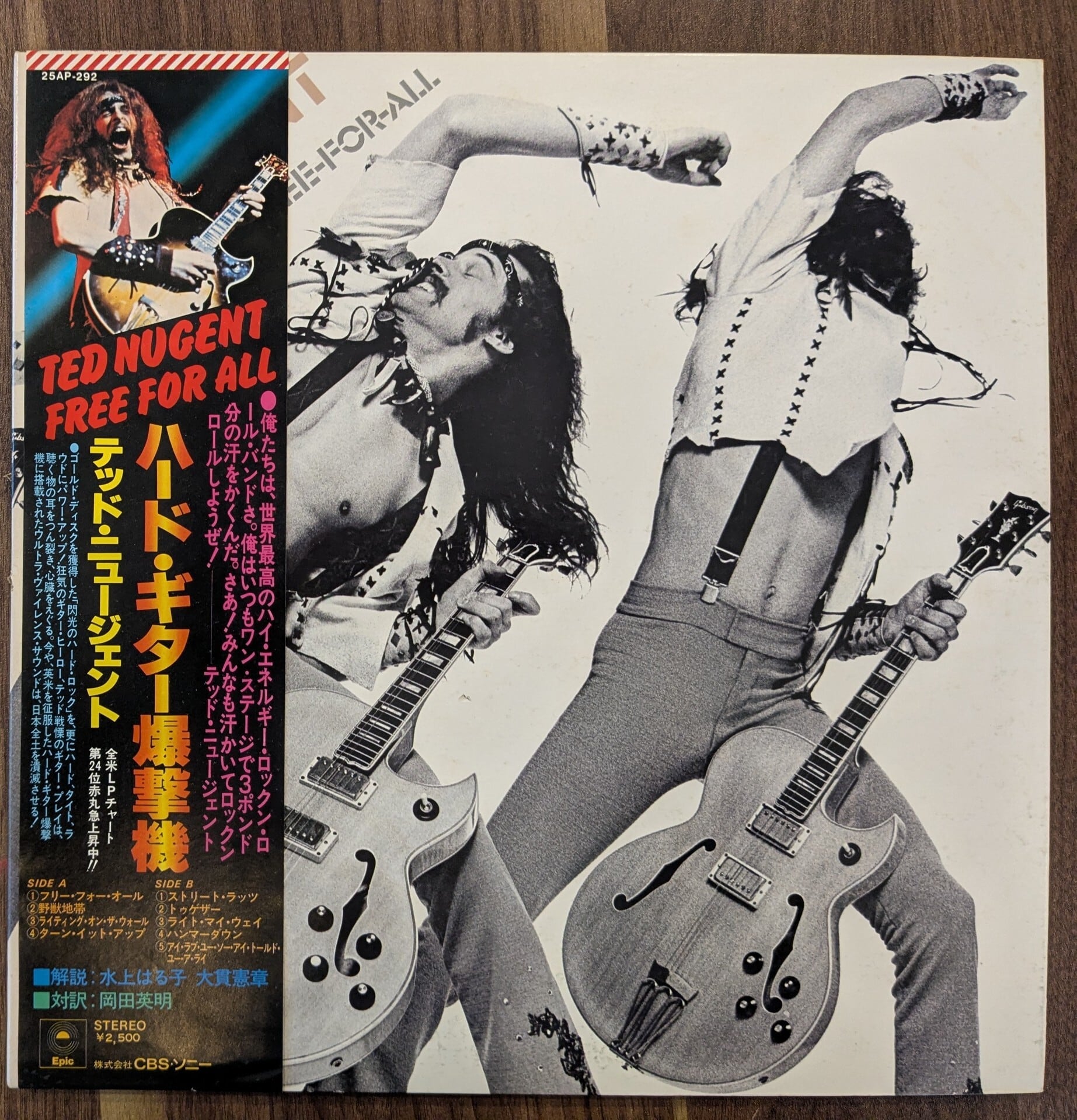 テッド・ニュージェント「ハード・ギター爆撃機」：LPレコード | 音と