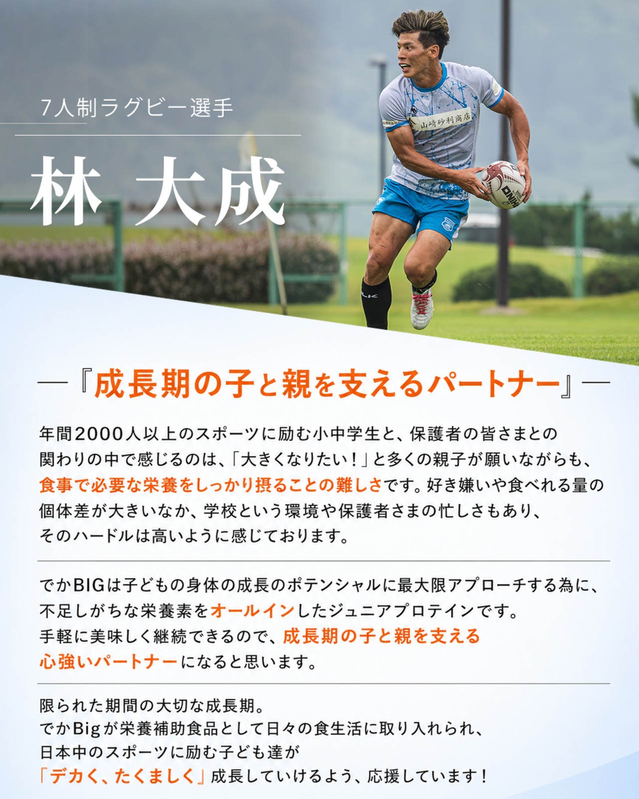 6袋　でかBig