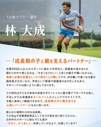 6袋　でかBig