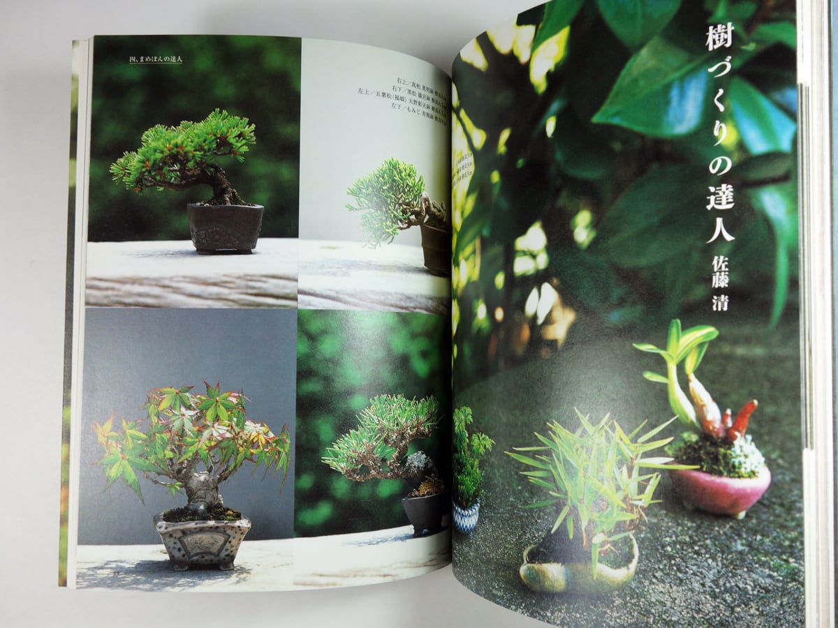 まめぼん 世界で一番ちいさな盆栽（山本順三）- コロナ・ブックス116