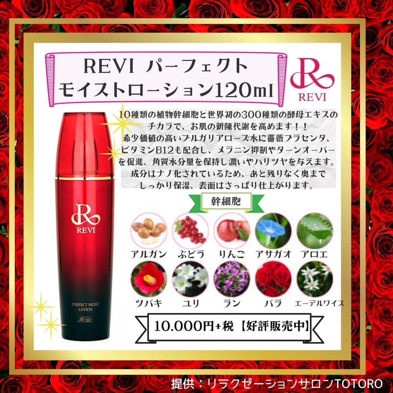 REVI（ルヴィ） 化粧水　パーフェクトモイストローション　120ml