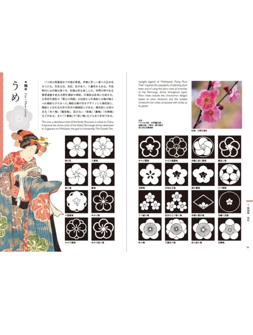 日本の家紋とデザイン　小さな展覧会