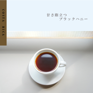 コーヒー豆　浅煎り コスタリカ 100g