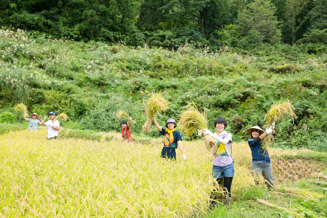 【2023年度産】大地の米 特別栽培米5kgギフトボックス