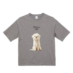 ボロニーズ　ビックシルエットTシャツ