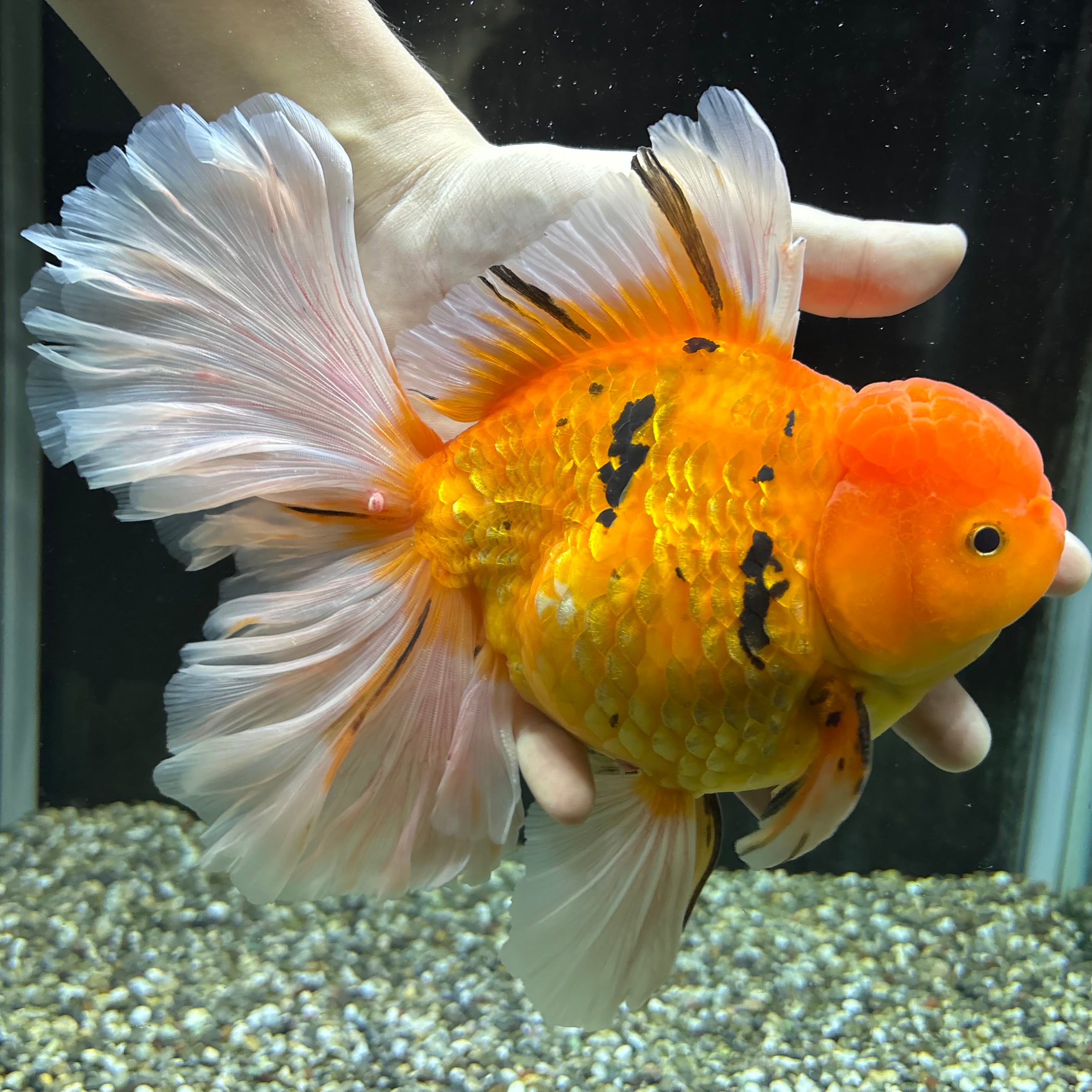 花王 120年 花王 120年 花王 | 製品の歴史