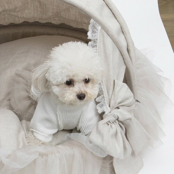 シャロンママ様❤️秋冬お洋服♡お帽子♡ハンドメイド犬服♡ シャロン