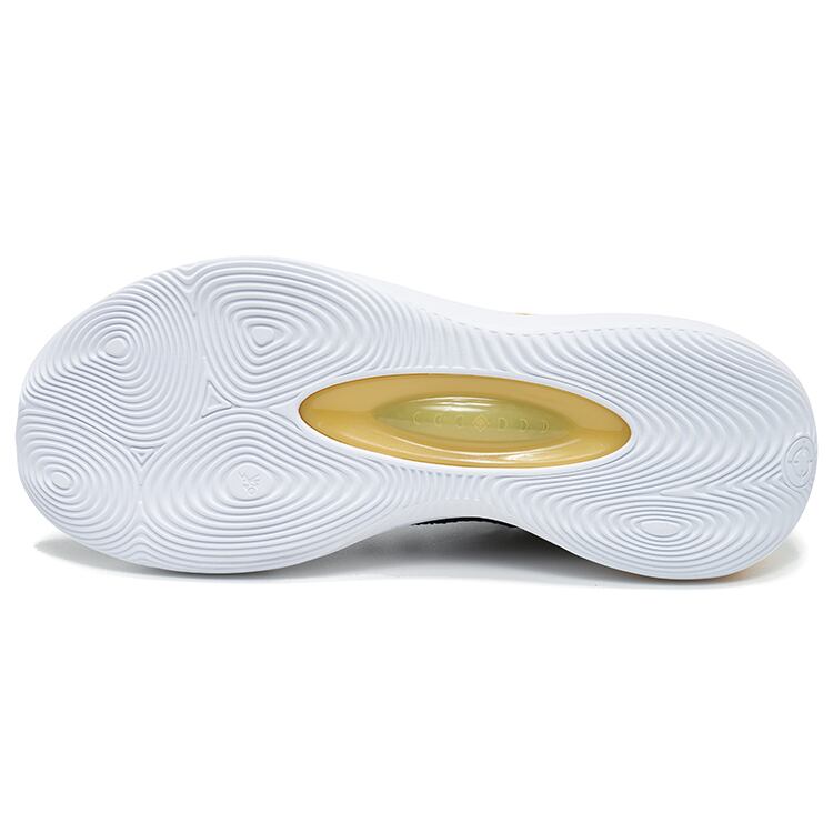 Rigorer AR1 showtime バスケットボールシューズ バッシュ