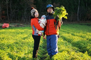 【リニューアル!】野菜計画の"濃い味"野菜箱大盛り（＊月1回配送）