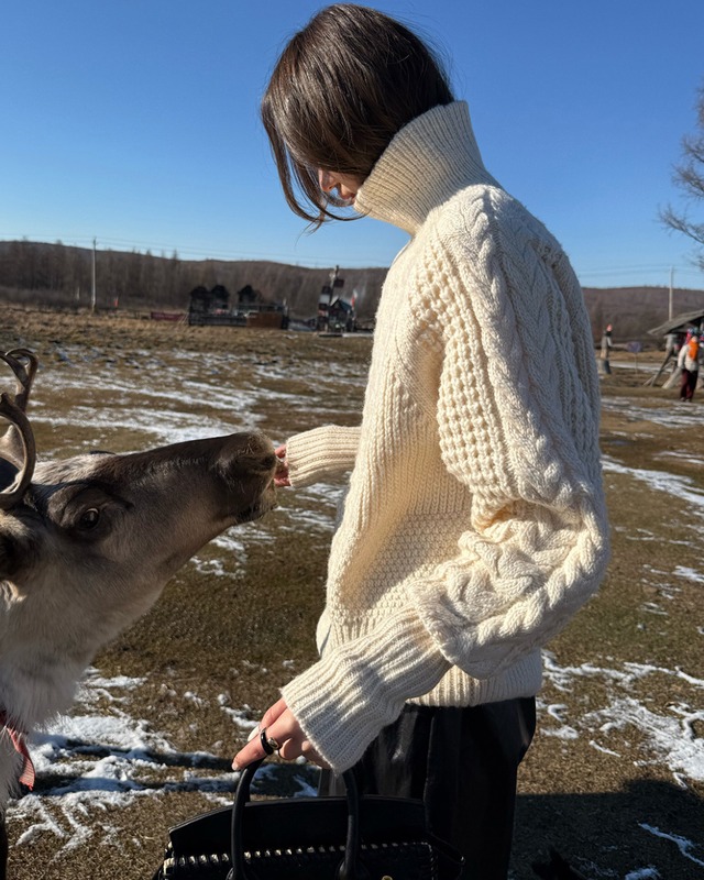 ハイネックニットプルオーバー　A25225