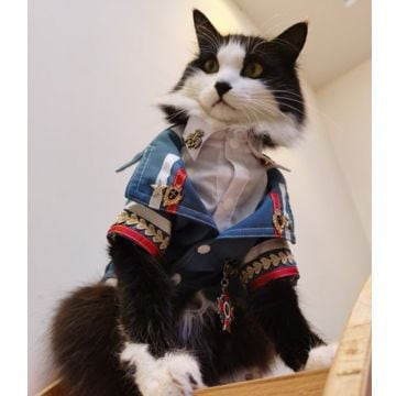 王子様風ミリタリー服 00596