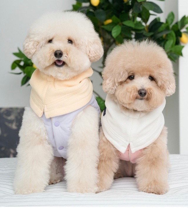 【おすすめ】ネッグウォーマー‐ (4color)