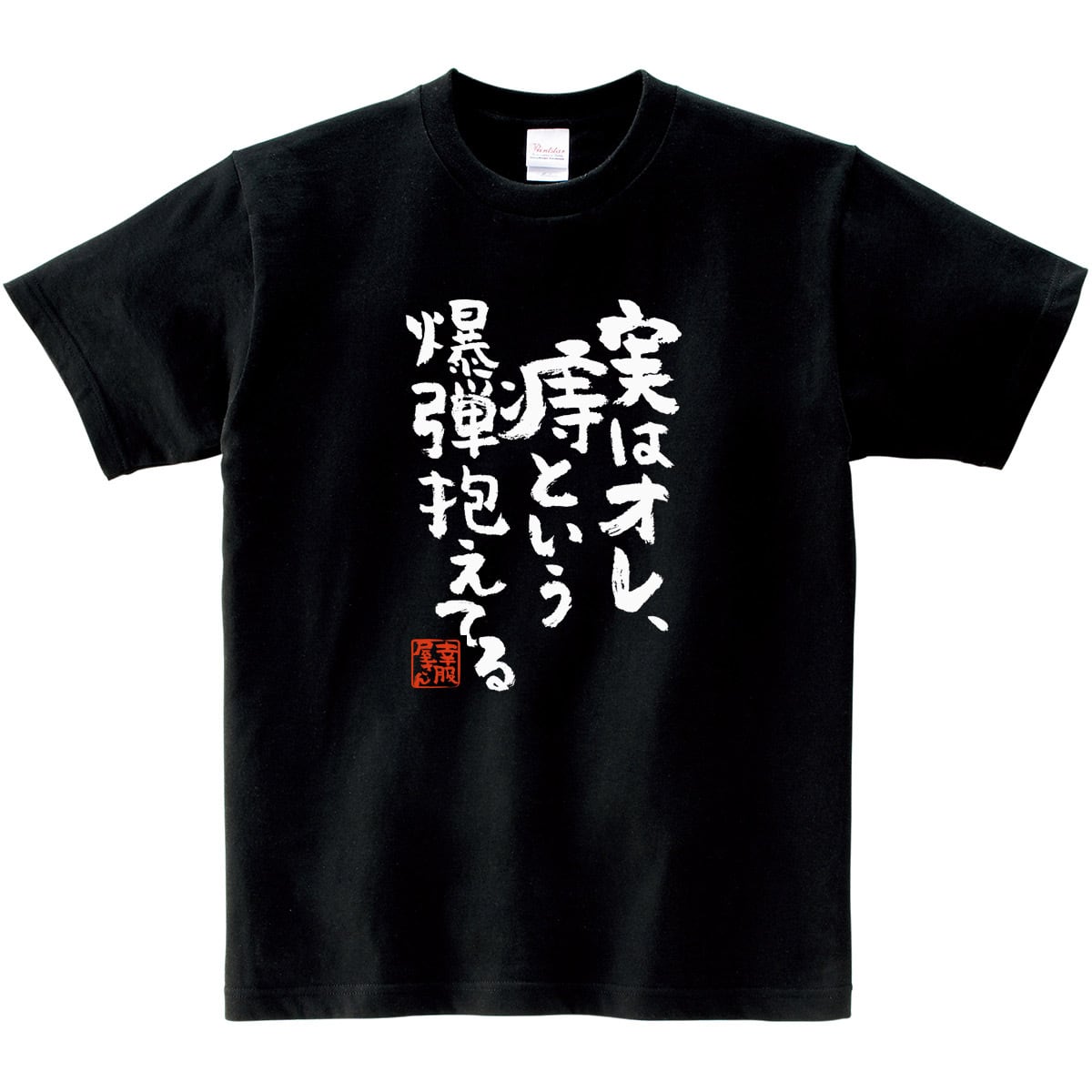 実はオレ、痔という爆弾抱えてる おもしろ tシャツ ka300-09 漢字 文字 メッセージtシャツ