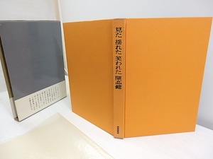 見た揺れた笑われた　初函帯　/　開高健　　[30541]