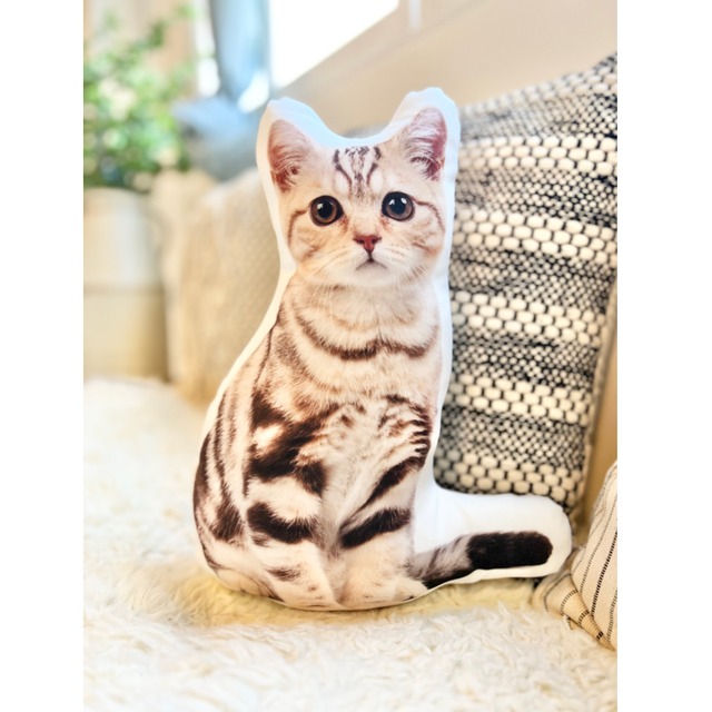 うちの子クッション【トロマット生地】Ｓ サイズ