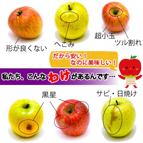 りんご^ - ^ ② 加工用】りんご 2段（サンフジ） | 西田りんご園